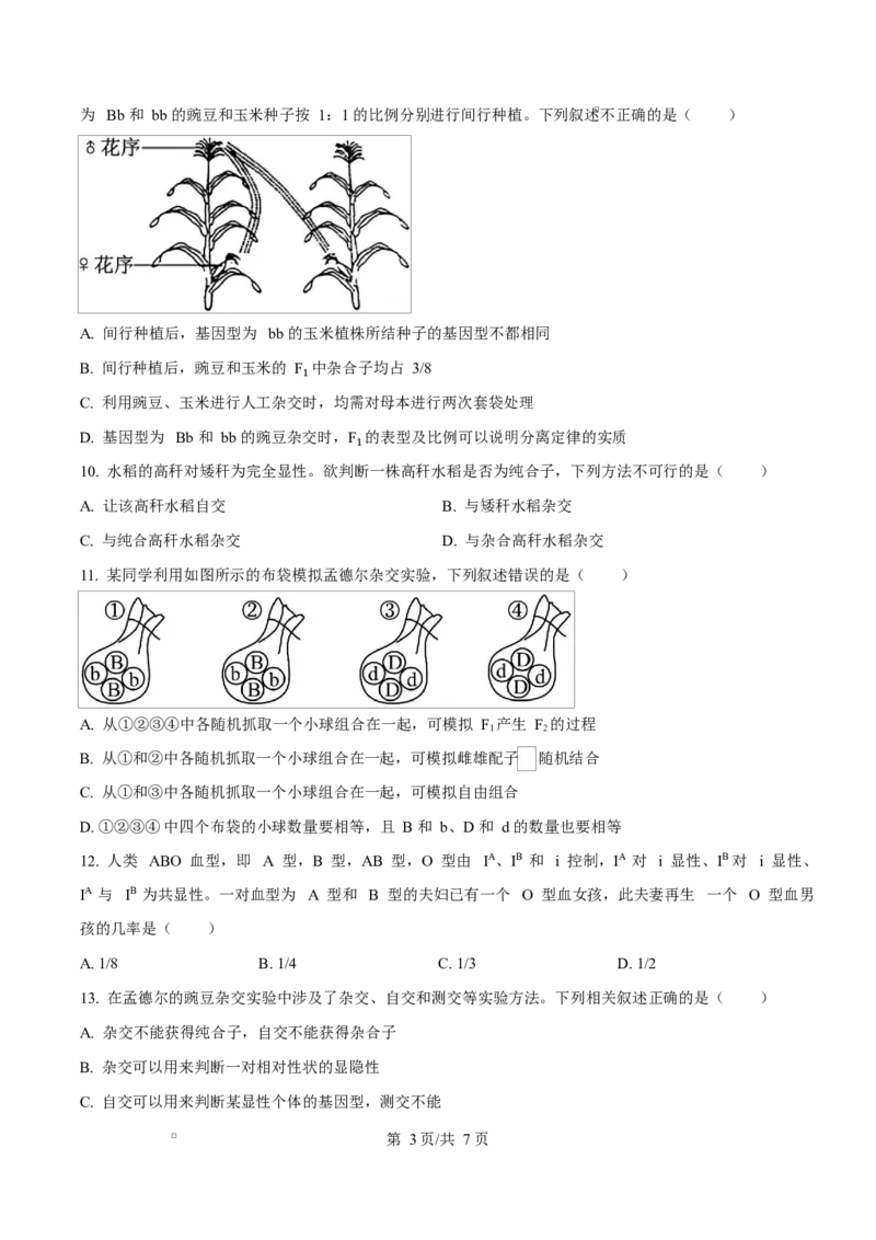 湖北省黄冈市蕲春县第一高级中学2024-2025学年高一下学期3月月考生物试题（原卷版）_2025年03月试卷_0320湖北省黄冈市蕲春县第一高级中学2024-2025学年高一下学期3月月考