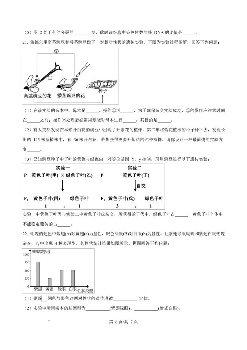 湖北省黄冈市蕲春县第一高级中学2024-2025学年高一下学期3月月考生物试题（原卷版）_2025年03月试卷_0320湖北省黄冈市蕲春县第一高级中学2024-2025学年高一下学期3月月考