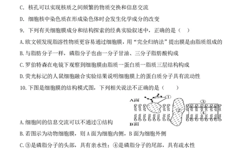 玉林八校联合2025年秋季期中高一生物_2025年11月高一试卷_251124广西玉林市八校2025年秋季期11月份高一年级联合调研测试（全）