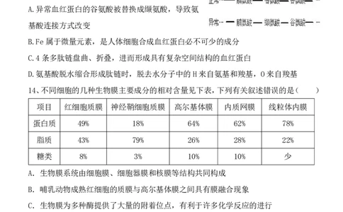 玉林八校联合2025年秋季期中高一生物_2025年11月高一试卷_251124广西玉林市八校2025年秋季期11月份高一年级联合调研测试（全）