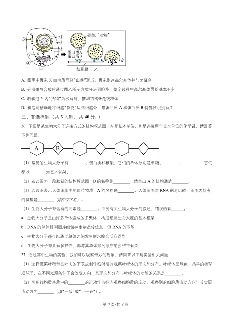 湖南省长沙市雅礼教育集团2025-2026学年高一上学期期中考试生物试题（原卷版）_2025年11月高一试卷_251118湖南省长沙市雅礼教育集团2025-2026学年高一上学期期中考试