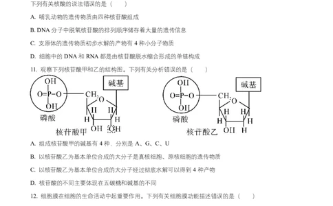 湖南省长沙市雅礼教育集团2025-2026学年高一上学期期中考试生物试题（原卷版）_2025年11月高一试卷_251118湖南省长沙市雅礼教育集团2025-2026学年高一上学期期中考试