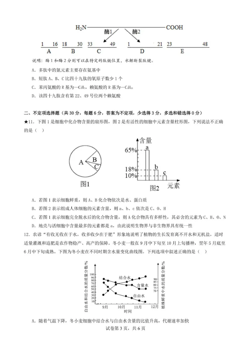 湖南省岳阳县第一中学2025-2026学年高一上学期第一次月考生物试题_2025年10月高一试卷_251018湖南省岳阳市岳阳县第一中学2025-2026学年高一上学期第一次月考（全）