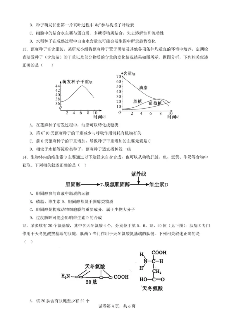 湖南省岳阳县第一中学2025-2026学年高一上学期第一次月考生物试题_2025年10月高一试卷_251018湖南省岳阳市岳阳县第一中学2025-2026学年高一上学期第一次月考（全）