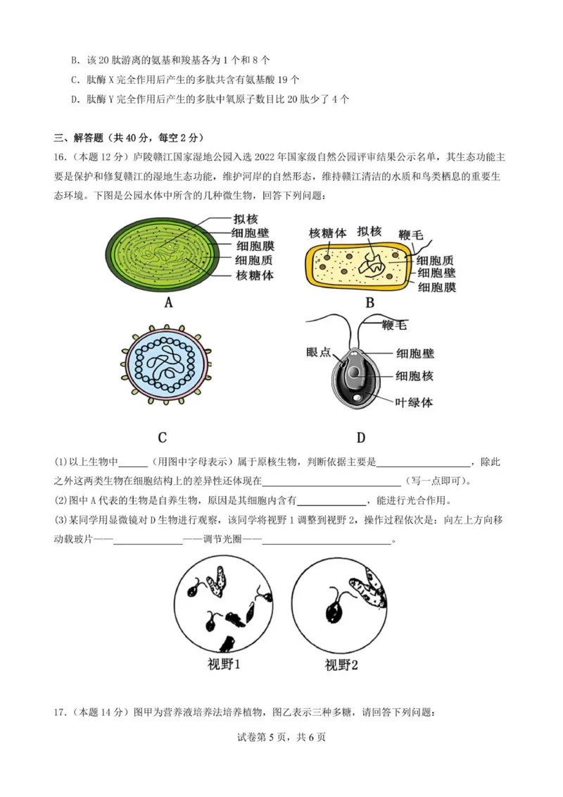 湖南省岳阳县第一中学2025-2026学年高一上学期第一次月考生物试题_2025年10月高一试卷_251018湖南省岳阳市岳阳县第一中学2025-2026学年高一上学期第一次月考（全）