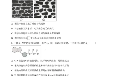 湖北省随州市部分高中2024-2025学年高一下学期2月联考生物试题（原卷版）_2025年03月试卷_0306湖北省随州市部分高中2024-2025学年高一下学期2月联考