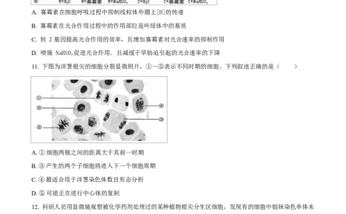 湖北省随州市部分高中2024-2025学年高一下学期2月联考生物试题（原卷版）_2025年03月试卷_0306湖北省随州市部分高中2024-2025学年高一下学期2月联考