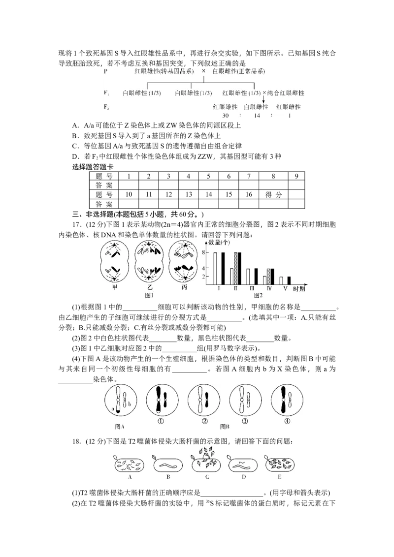 湖南省长沙市岳麓区湖南师范大学附属中学2024-2025学年高一下学期4月期中生物试题_2025年05月试卷_0503湖南省长沙市湖南师大附中2024-2025学年高一下学期4月期中