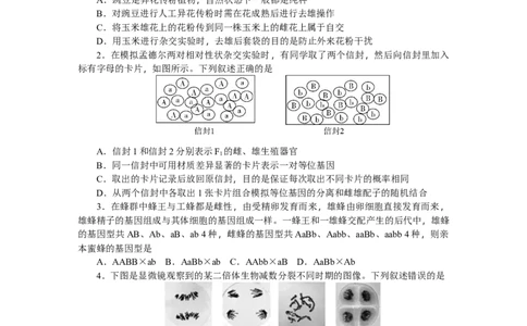 湖南省长沙市岳麓区湖南师范大学附属中学2024-2025学年高一下学期4月期中生物试题_2025年05月试卷_0503湖南省长沙市湖南师大附中2024-2025学年高一下学期4月期中
