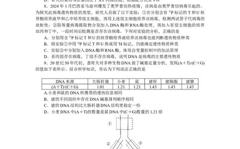 湖南省长沙市岳麓区湖南师范大学附属中学2024-2025学年高一下学期4月期中生物试题_2025年05月试卷_0503湖南省长沙市湖南师大附中2024-2025学年高一下学期4月期中