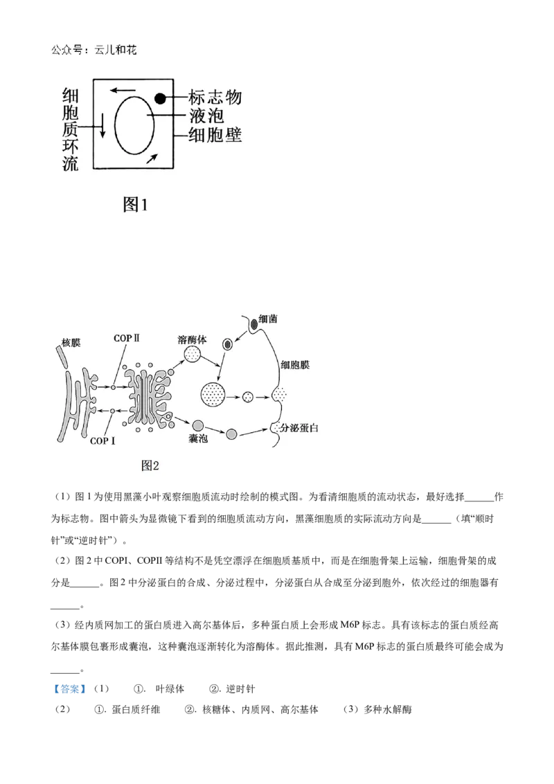 湖南省长沙市天心区长沙市长郡中学2024-2025学年高一上学期11月期中考试生物试题Word版含解析_2024年11月试卷_1108湖南省长沙市长郡中学2024-2025学年高一上学期期中考试