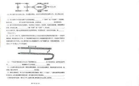 湖南省长沙市雅礼中学2025年下学期高一生物第一次质量检测试卷_2025年10月高一试卷_251015湖南省长沙市雅礼中学2025-2026学年高一上学期第一次（10月）质量检测（全）