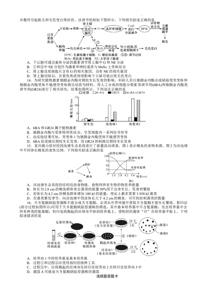 湖南省长沙市湖南师范大学附属中学2024-2025学年高一上学期1月期末生物试题_2025年01月试卷_0115湖南省长沙市湖南师范大学附属中学2024-2025学年高一上学期1月期末