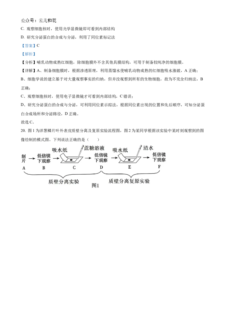 甘肃省天水市甘谷县2024-2025学年高一上学期11月月考生物试题Word版含解析_2024年12月试卷_1229甘肃省天水市甘谷县2024-2025学年高一上学期11月联考