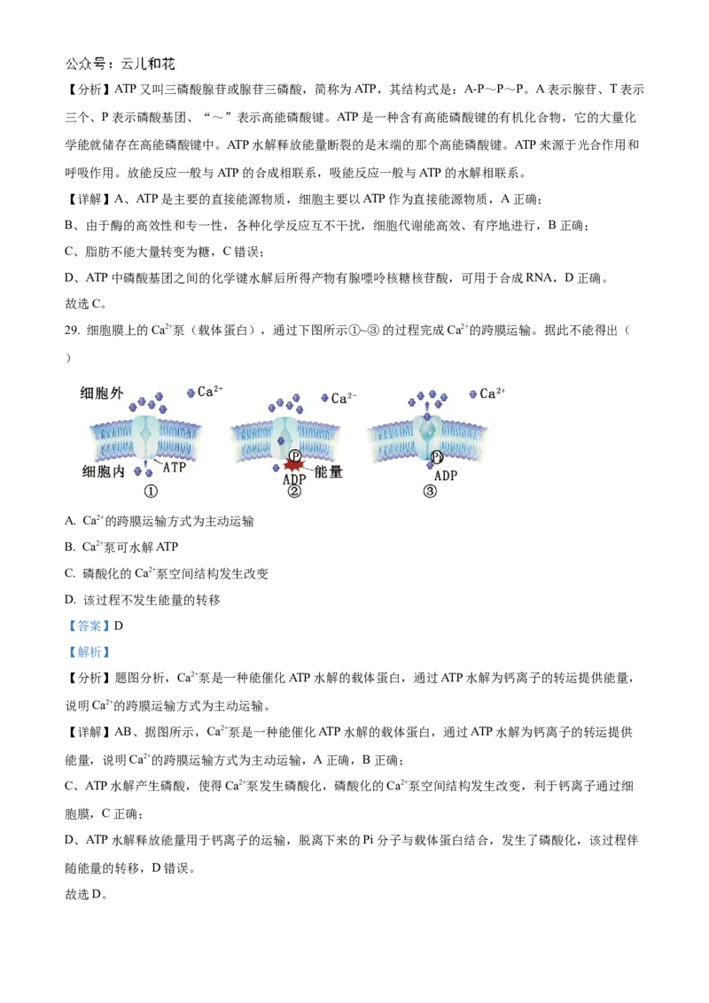 甘肃省天水市甘谷县2024-2025学年高一上学期11月月考生物试题Word版含解析_2024年12月试卷_1229甘肃省天水市甘谷县2024-2025学年高一上学期11月联考