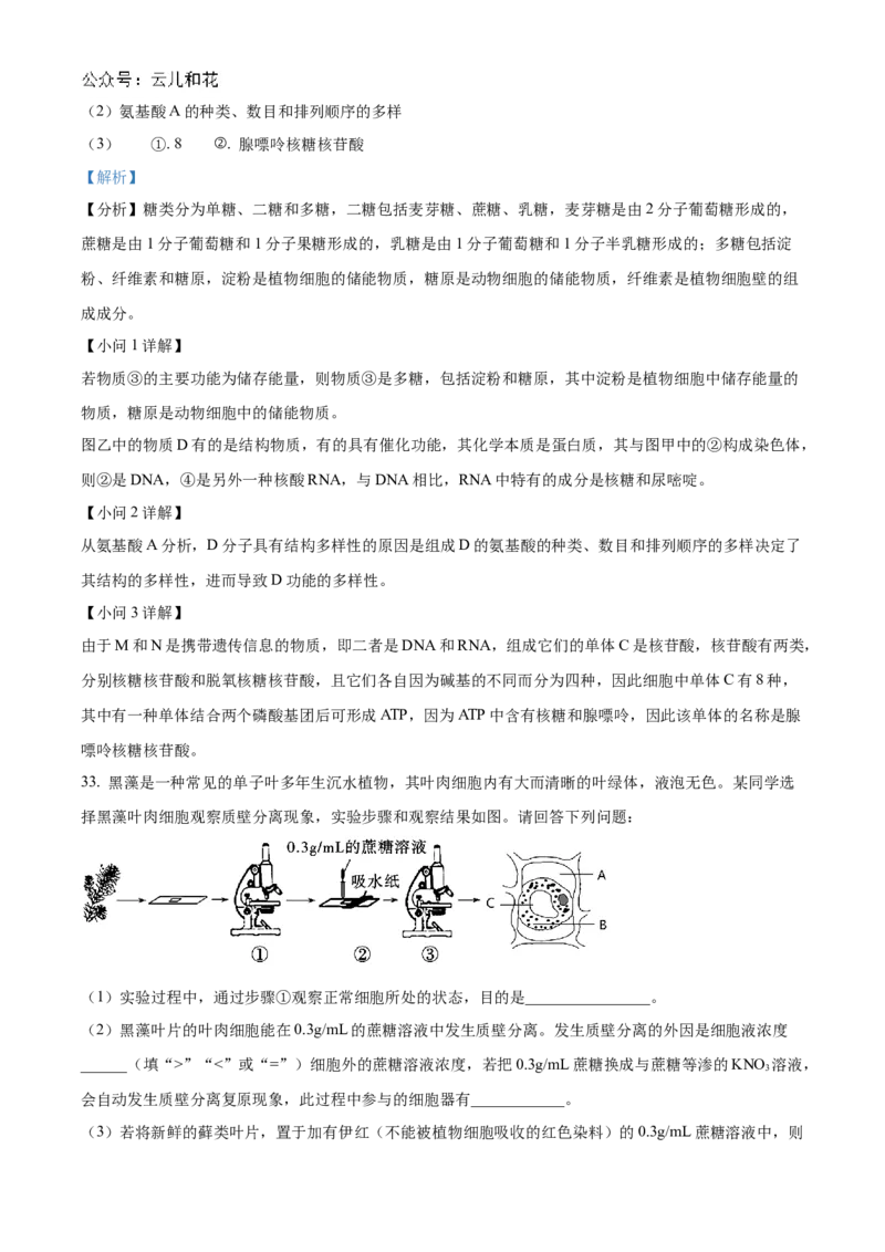 甘肃省天水市甘谷县2024-2025学年高一上学期11月月考生物试题Word版含解析_2024年12月试卷_1229甘肃省天水市甘谷县2024-2025学年高一上学期11月联考