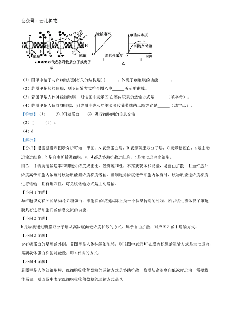 甘肃省天水市甘谷县2024-2025学年高一上学期11月月考生物试题Word版含解析_2024年12月试卷_1229甘肃省天水市甘谷县2024-2025学年高一上学期11月联考