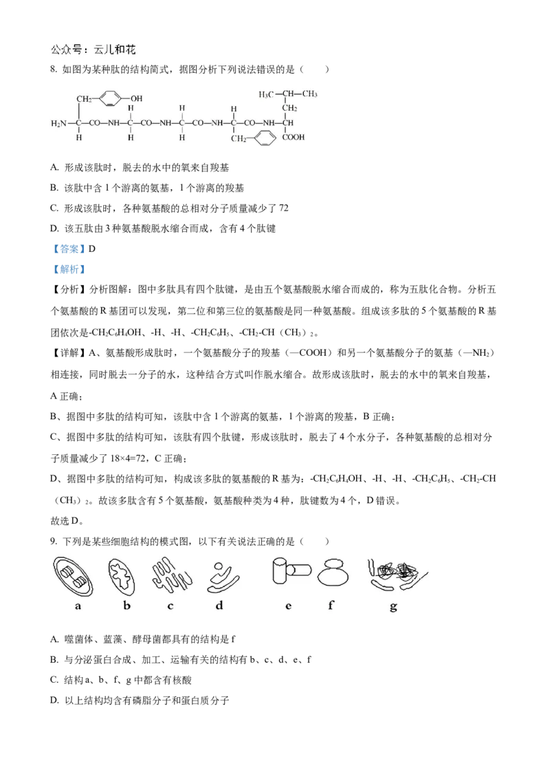 甘肃省天水市甘谷县2024-2025学年高一上学期11月月考生物试题Word版含解析_2024年12月试卷_1229甘肃省天水市甘谷县2024-2025学年高一上学期11月联考