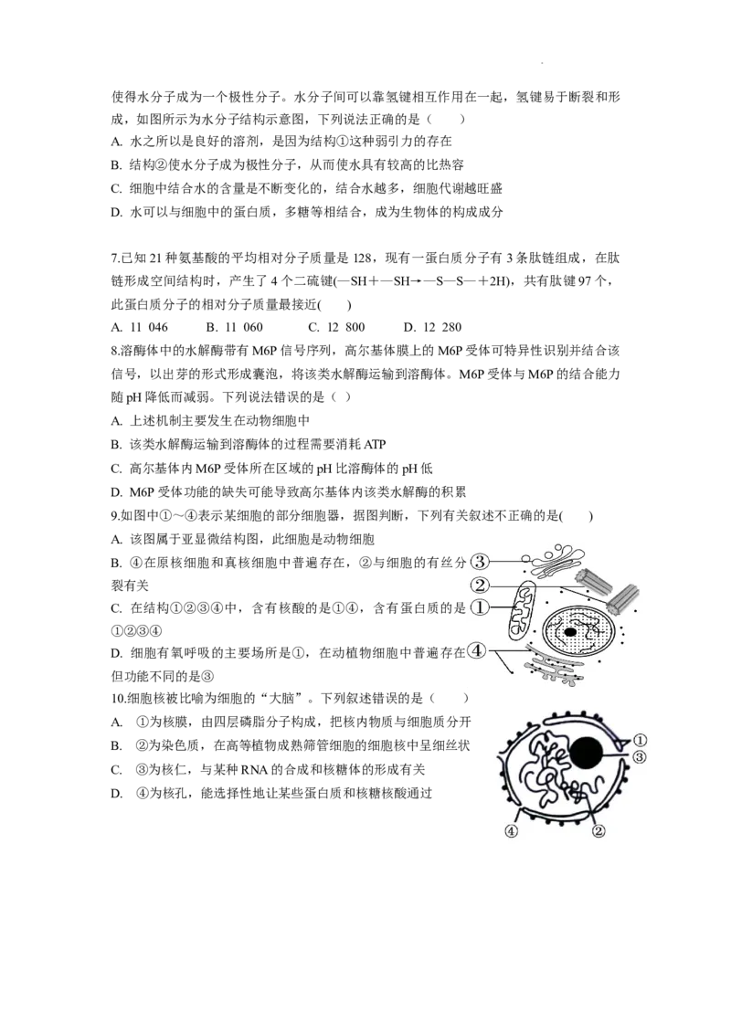 湖南省颐华高级中学2025-2026学年高一上学期期中考试生物试题_2025年12月高一试卷_251201湖南省岳阳市平江县颐华学校2025-2026学年高一上学期期中考试（全）