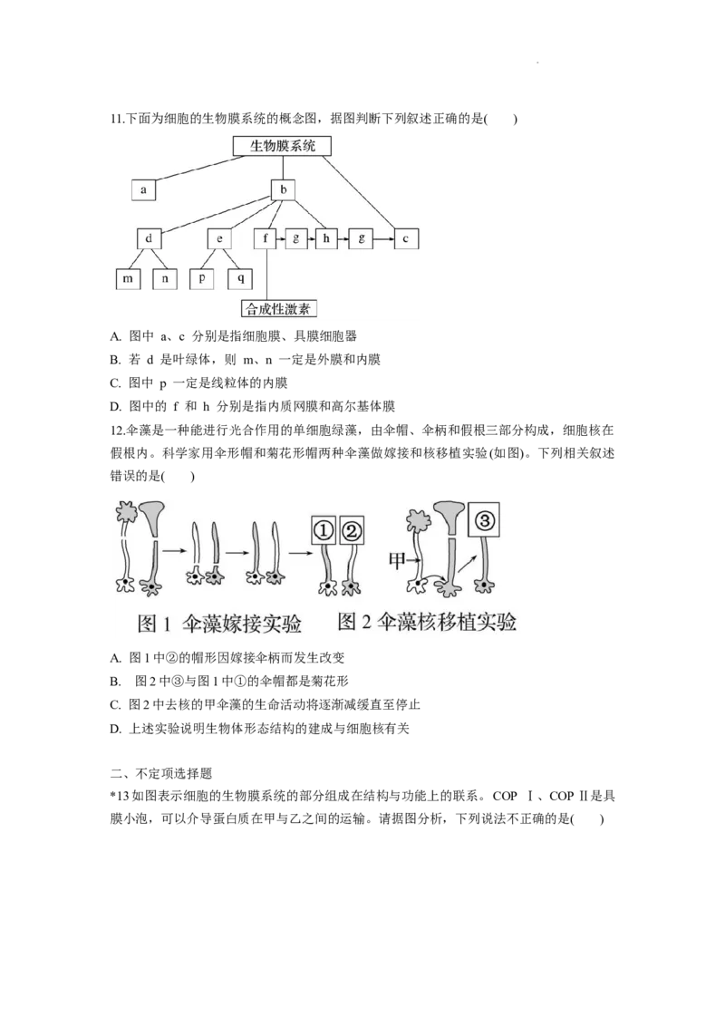 湖南省颐华高级中学2025-2026学年高一上学期期中考试生物试题_2025年12月高一试卷_251201湖南省岳阳市平江县颐华学校2025-2026学年高一上学期期中考试（全）