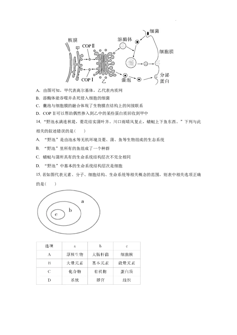 湖南省颐华高级中学2025-2026学年高一上学期期中考试生物试题_2025年12月高一试卷_251201湖南省岳阳市平江县颐华学校2025-2026学年高一上学期期中考试（全）