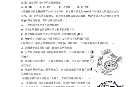 湖南省颐华高级中学2025-2026学年高一上学期期中考试生物试题_2025年12月高一试卷_251201湖南省岳阳市平江县颐华学校2025-2026学年高一上学期期中考试（全）