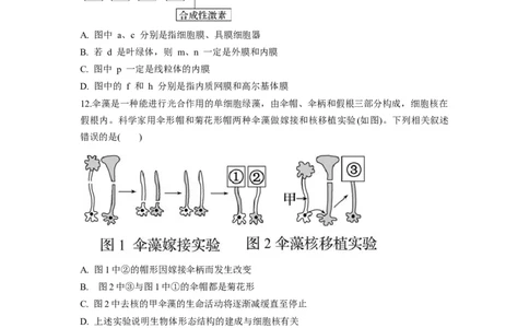 湖南省颐华高级中学2025-2026学年高一上学期期中考试生物试题_2025年12月高一试卷_251201湖南省岳阳市平江县颐华学校2025-2026学年高一上学期期中考试（全）