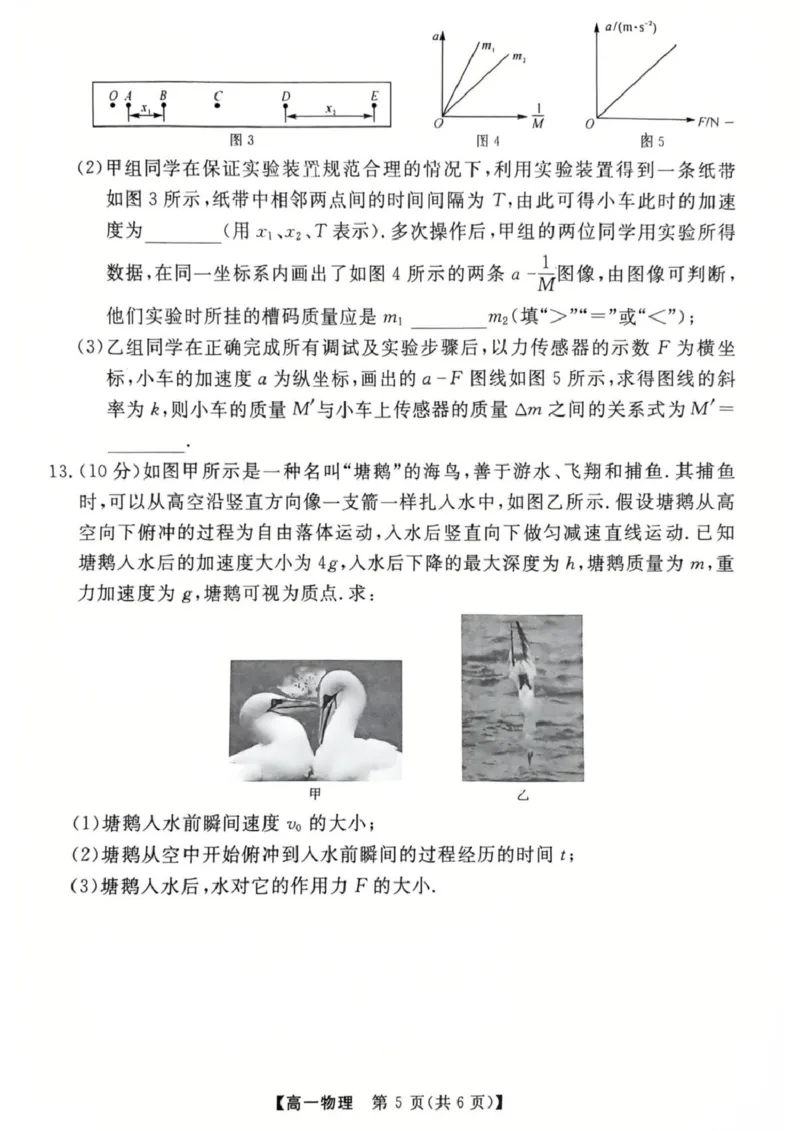 物理高一上学期期末考试试卷_2025年03月试卷_0304广东省茂名市高州市2024-2025学年高一上学期1月期末考试_广东省茂名市高州市2024-2025学年高一上学期1月期末考试物理PDF版含答案