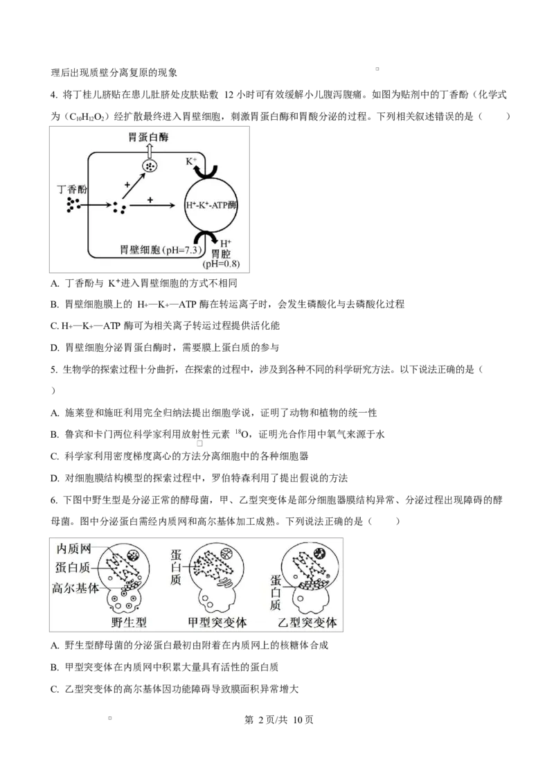 湖南省郴州市2024&mdash;2025学年高一上学期期末考试生物试题（原卷版）_2025年03月试卷_0316湖南省郴州市2024-2025学年高一上学期期末考试