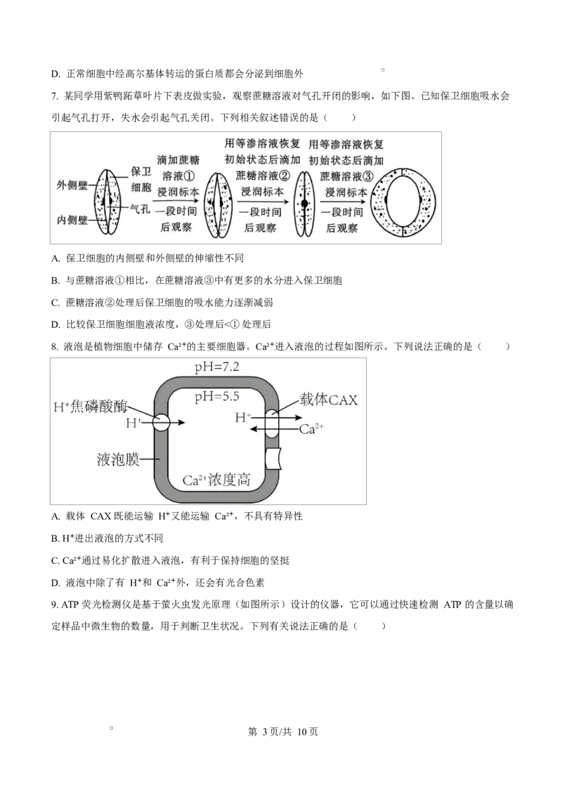 湖南省郴州市2024&mdash;2025学年高一上学期期末考试生物试题（原卷版）_2025年03月试卷_0316湖南省郴州市2024-2025学年高一上学期期末考试