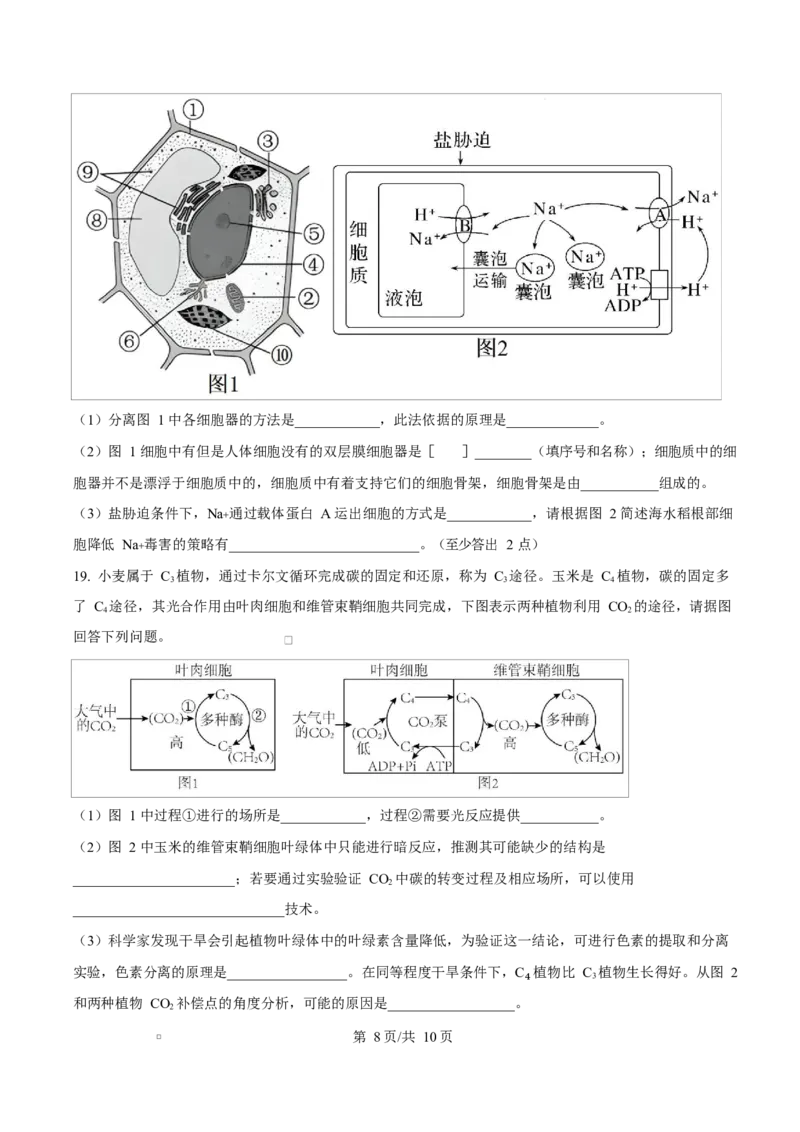湖南省郴州市2024&mdash;2025学年高一上学期期末考试生物试题（原卷版）_2025年03月试卷_0316湖南省郴州市2024-2025学年高一上学期期末考试