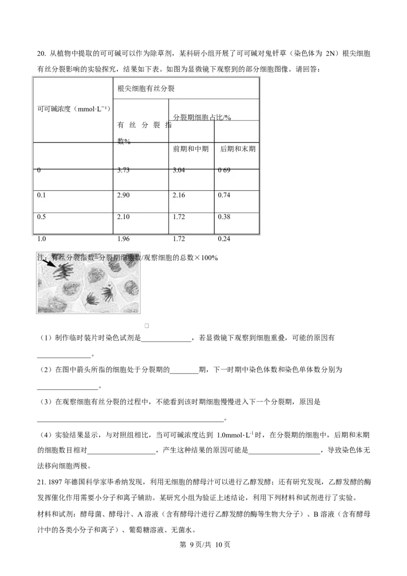 湖南省郴州市2024&mdash;2025学年高一上学期期末考试生物试题（原卷版）_2025年03月试卷_0316湖南省郴州市2024-2025学年高一上学期期末考试