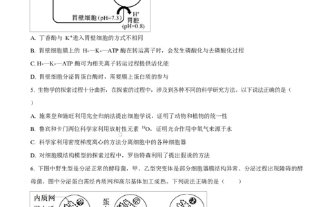 湖南省郴州市2024&mdash;2025学年高一上学期期末考试生物试题（原卷版）_2025年03月试卷_0316湖南省郴州市2024-2025学年高一上学期期末考试