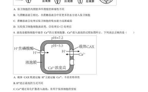 湖南省郴州市2024&mdash;2025学年高一上学期期末考试生物试题（原卷版）_2025年03月试卷_0316湖南省郴州市2024-2025学年高一上学期期末考试