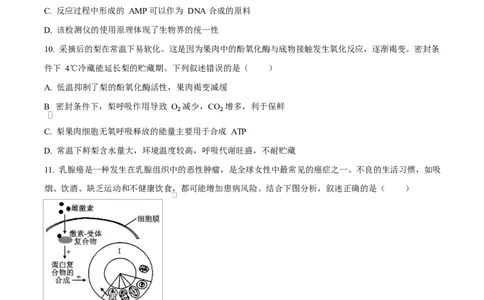 湖南省郴州市2024&mdash;2025学年高一上学期期末考试生物试题（原卷版）_2025年03月试卷_0316湖南省郴州市2024-2025学年高一上学期期末考试