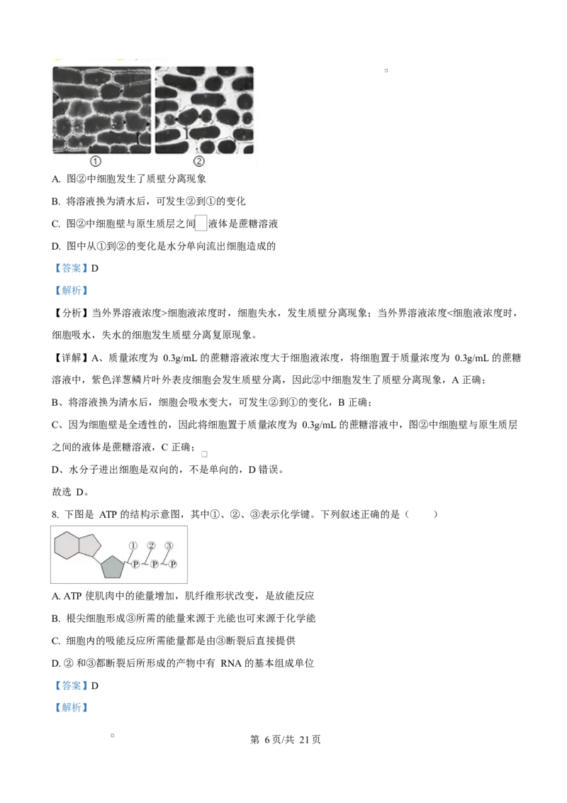湖北省随州市部分高中2024-2025学年高一下学期2月联考生物试题Word版含解析_2025年03月试卷_0306湖北省随州市部分高中2024-2025学年高一下学期2月联考
