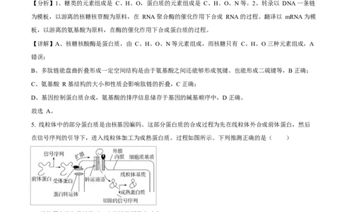 湖北省随州市部分高中2024-2025学年高一下学期2月联考生物试题Word版含解析_2025年03月试卷_0306湖北省随州市部分高中2024-2025学年高一下学期2月联考