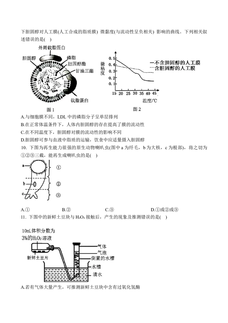 甘肃省兰州第一中学2024-2025学年高一上学期12月月考生物试卷_2025年01月试卷_0116甘肃省兰州第一中学2024-2025学年高一上学期12月月考试题