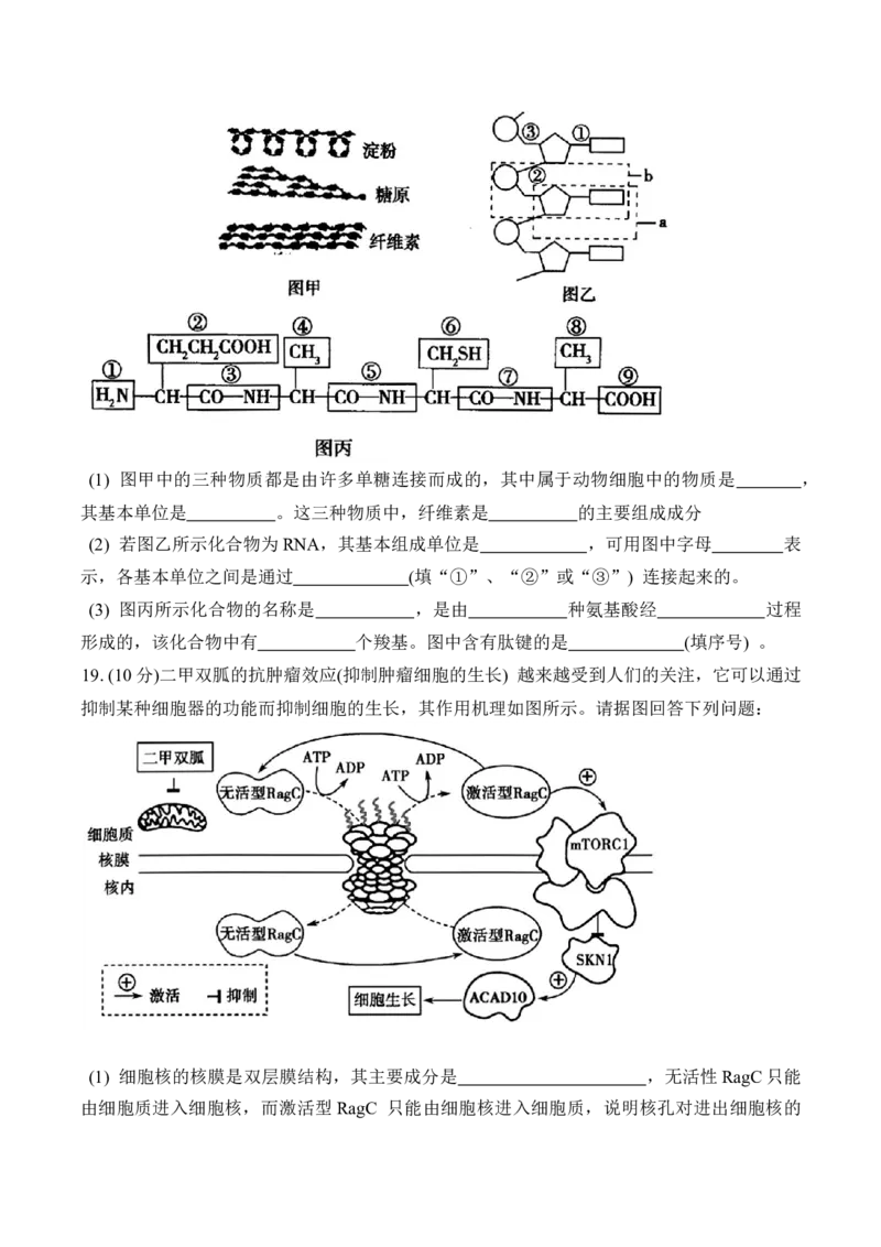 甘肃省兰州第一中学2024-2025学年高一上学期12月月考生物试卷_2025年01月试卷_0116甘肃省兰州第一中学2024-2025学年高一上学期12月月考试题