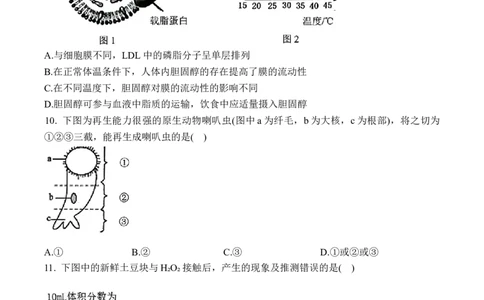 甘肃省兰州第一中学2024-2025学年高一上学期12月月考生物试卷_2025年01月试卷_0116甘肃省兰州第一中学2024-2025学年高一上学期12月月考试题