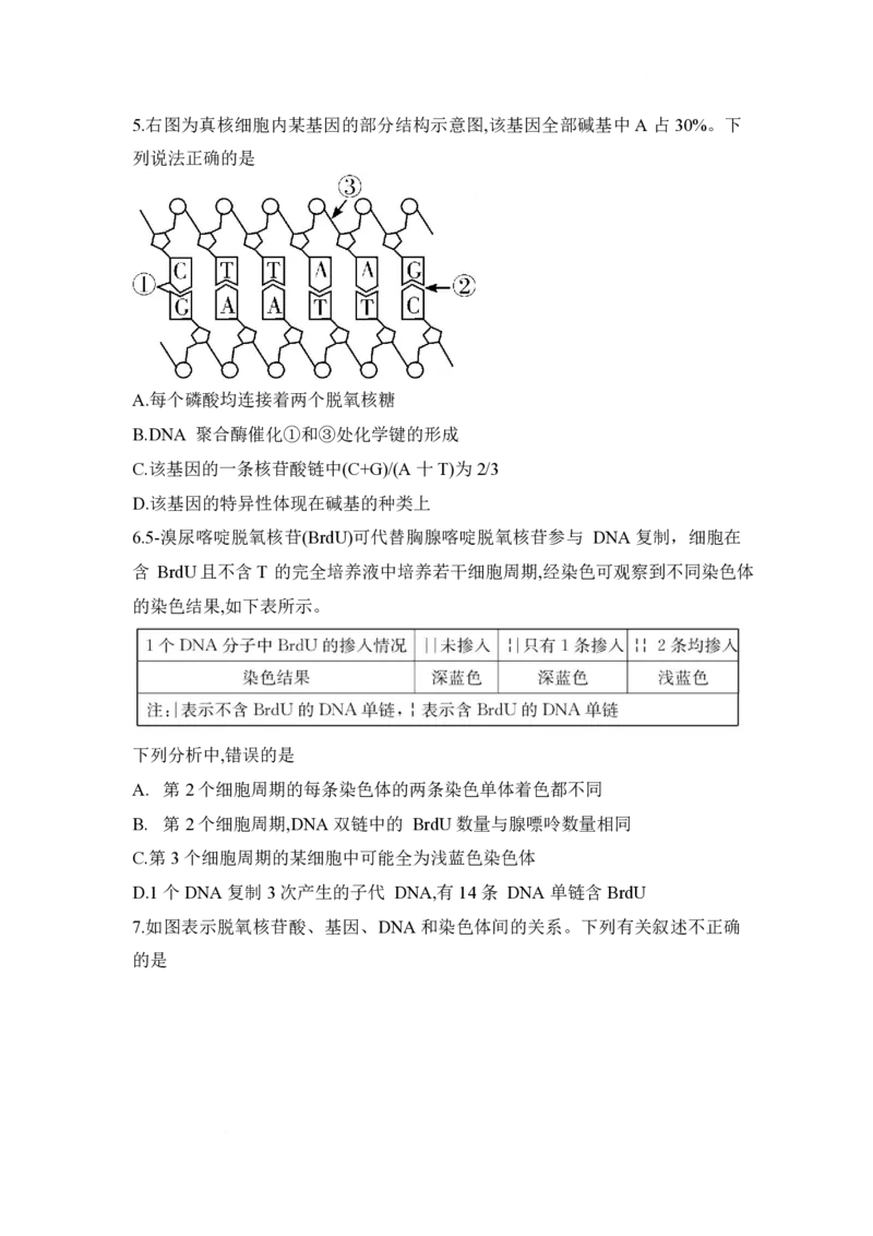 湖南省长沙市第一中学2024-2025学年高一下学期期中考试生物试题_2025年05月试卷_0530湖南省长沙市第一中学2024-2025学年高一下学期期中考试