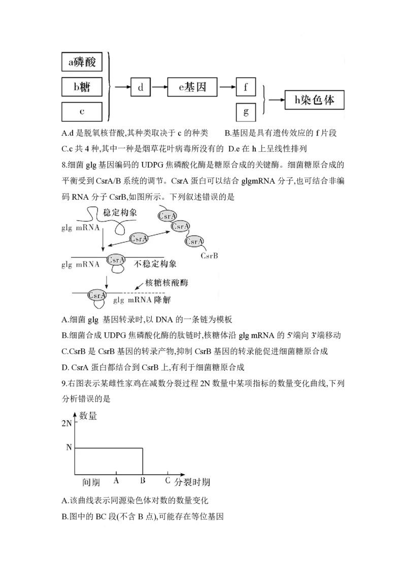 湖南省长沙市第一中学2024-2025学年高一下学期期中考试生物试题_2025年05月试卷_0530湖南省长沙市第一中学2024-2025学年高一下学期期中考试
