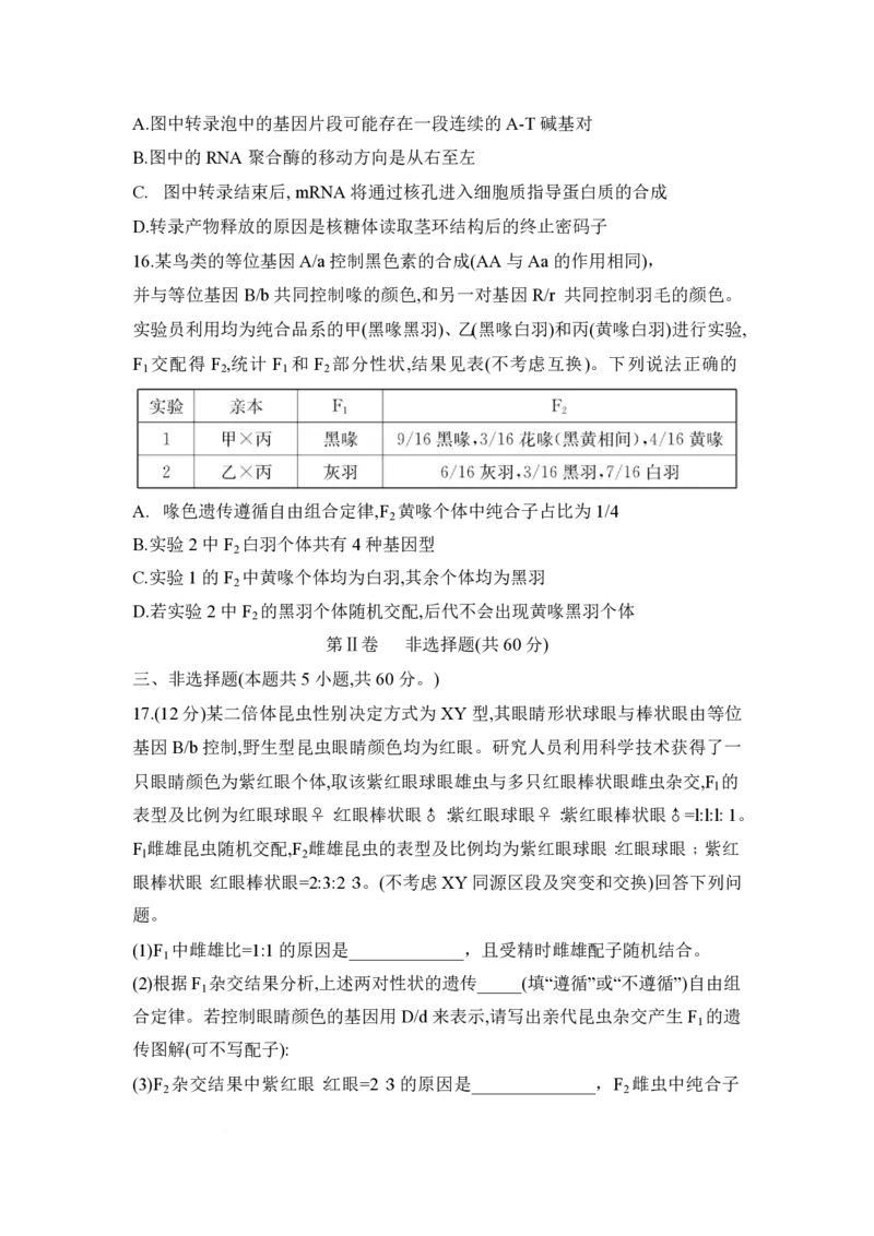 湖南省长沙市第一中学2024-2025学年高一下学期期中考试生物试题_2025年05月试卷_0530湖南省长沙市第一中学2024-2025学年高一下学期期中考试