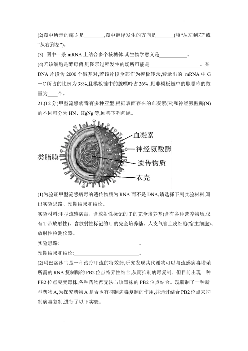 湖南省长沙市第一中学2024-2025学年高一下学期期中考试生物试题_2025年05月试卷_0530湖南省长沙市第一中学2024-2025学年高一下学期期中考试