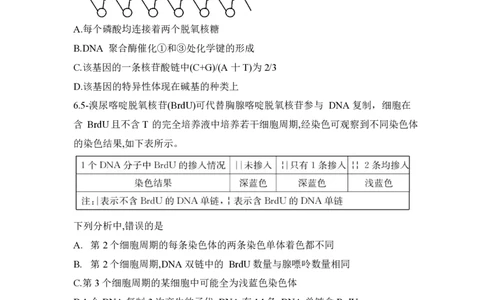 湖南省长沙市第一中学2024-2025学年高一下学期期中考试生物试题_2025年05月试卷_0530湖南省长沙市第一中学2024-2025学年高一下学期期中考试