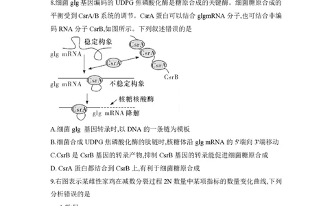 湖南省长沙市第一中学2024-2025学年高一下学期期中考试生物试题_2025年05月试卷_0530湖南省长沙市第一中学2024-2025学年高一下学期期中考试