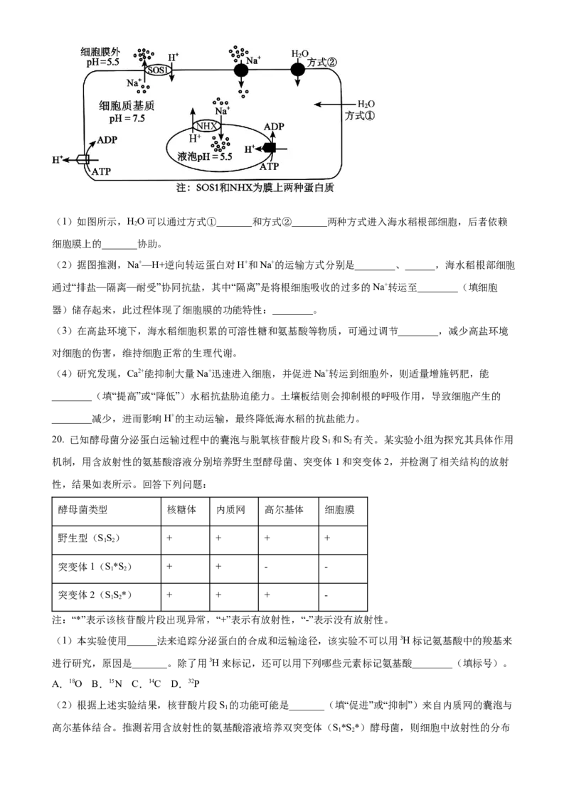 湖南省五市十校2025-2026学年高一上学期12月联考生物试题（原卷版）_2026年01月高一试卷_260101湖南省名校联盟暨五市十校联考2025-2026学年高一上学期12月联考