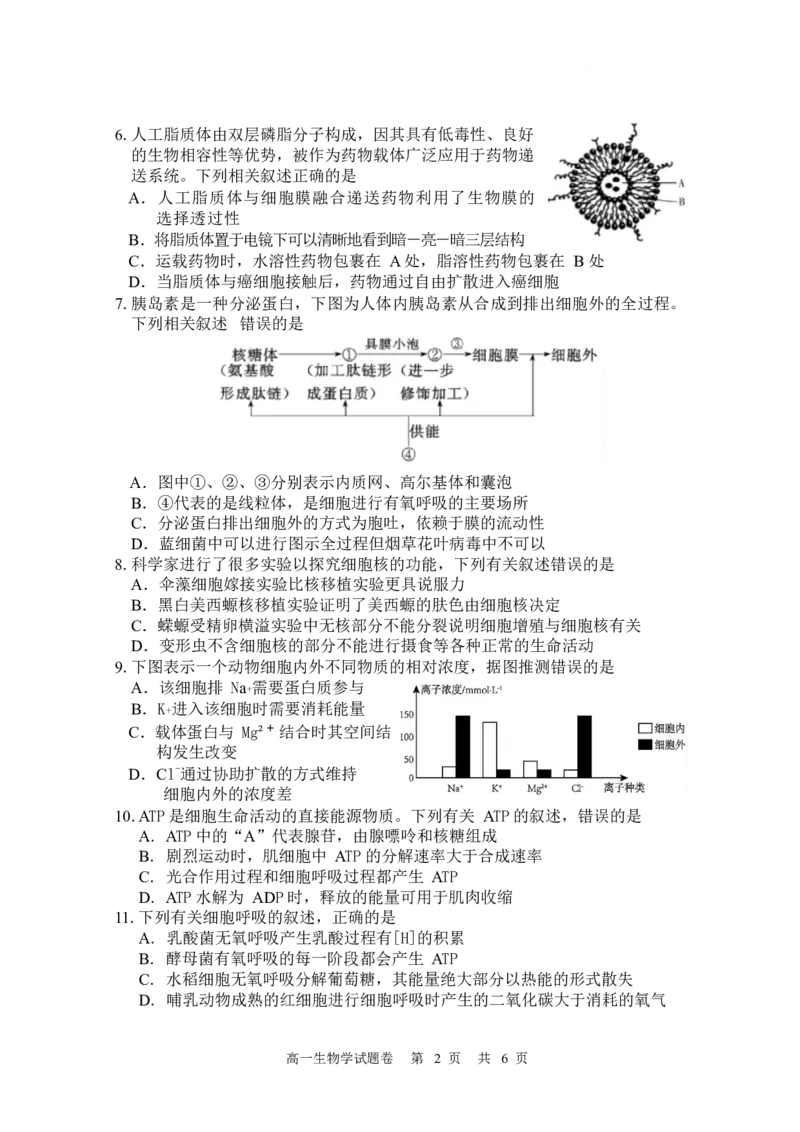 湖南常德市沅澧共同体2025-2026学高一上学期期末考试生物试卷_2026年02月高一试卷_260215湖南省常德市沅澧共同体2025-2026学高一上学期期末考试
