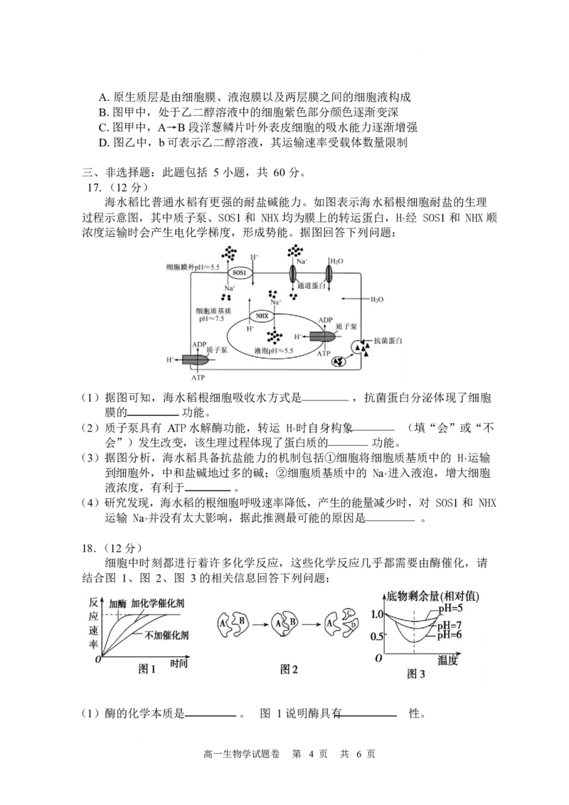 湖南常德市沅澧共同体2025-2026学高一上学期期末考试生物试卷_2026年02月高一试卷_260215湖南省常德市沅澧共同体2025-2026学高一上学期期末考试