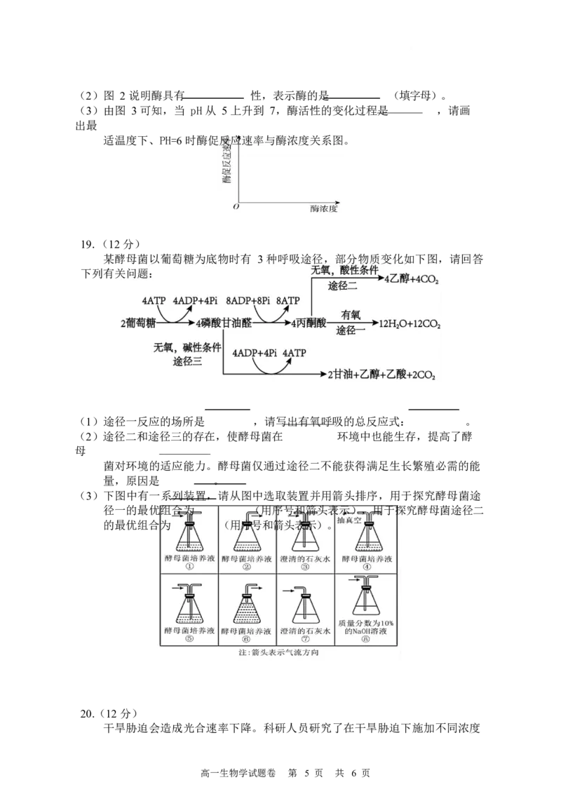 湖南常德市沅澧共同体2025-2026学高一上学期期末考试生物试卷_2026年02月高一试卷_260215湖南省常德市沅澧共同体2025-2026学高一上学期期末考试
